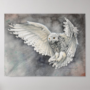 Poster Arte de Vida Selvagem em Aquarela Descida da Coruj
