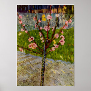 Poster arte de Vincent Van Gogh