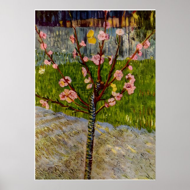 Poster arte de Vincent Van Gogh (Frente)