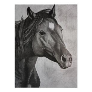 Póster Arte Desenhada à Mão do Cavalo