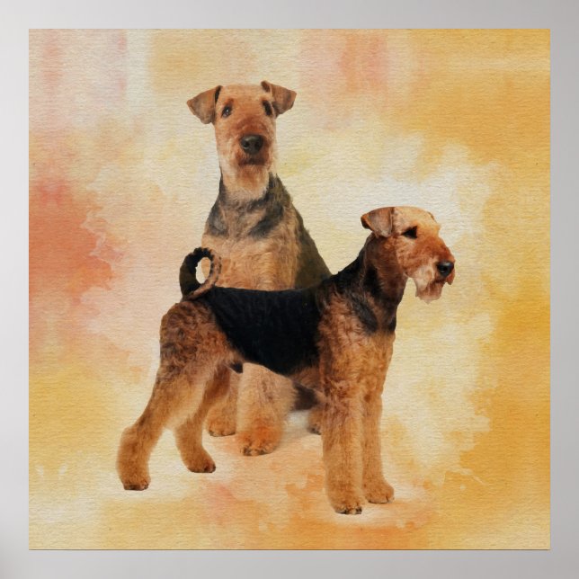 Poster Arte Digital Airedale Terriers (Frente)