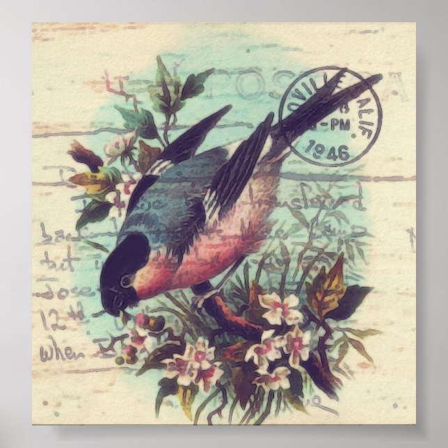 Póster Arte digital de pássaros (Frente)