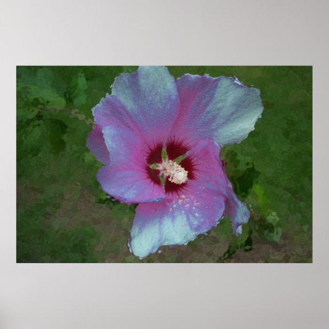 Poster Arte digital "Flor de Largura" (Frente)