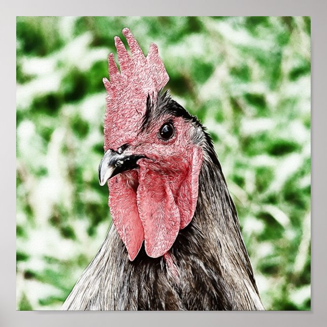 Poster Arte Digital Rooster Azul (Frente)