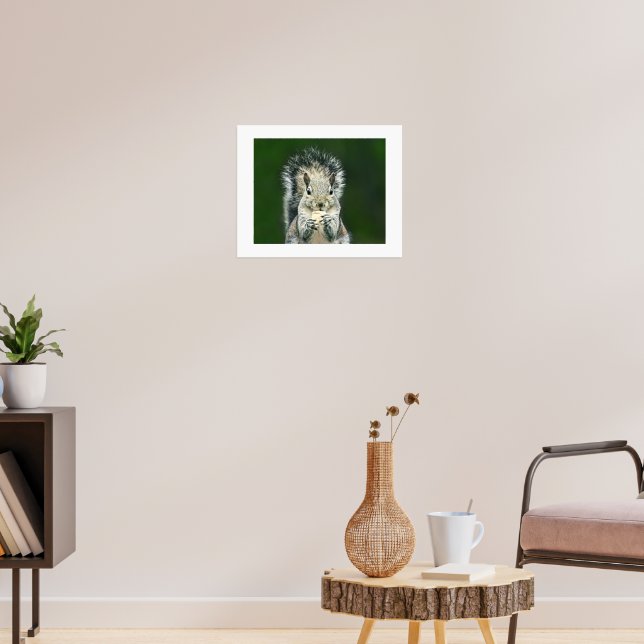 Poster Arte divertida de perto deste esquilo fofo no quin (Sala de Estar 3)