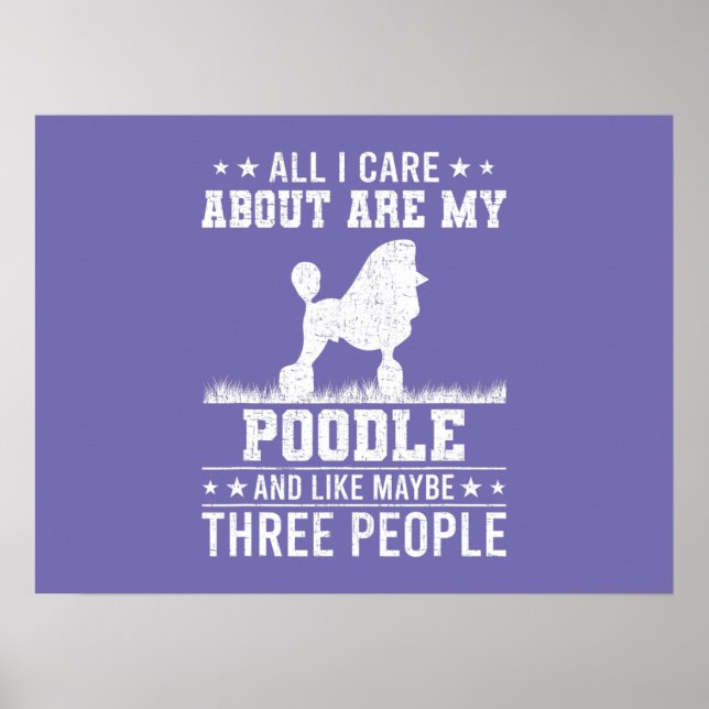 Poster Arte do Boxer do Pop de Cor (Frente)