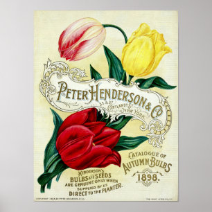 Poster Arte do Catálogo de Sementes da Era Vitoriana