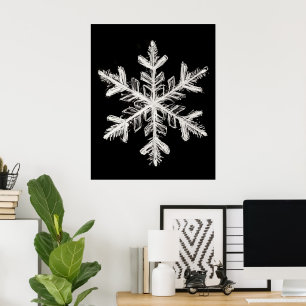 Poster Arte do Floco de Neve