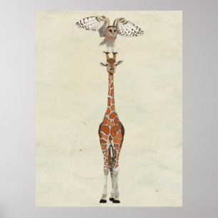 Poster Arte do GIRAFA & da CORUJA
