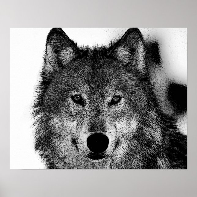 Póster Arte do Lobo Cinza Preto e Branco (Frente)