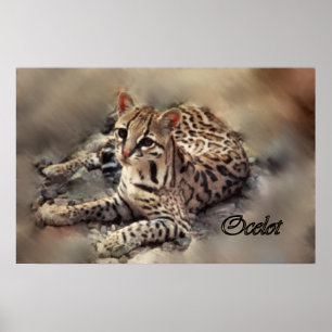 Póster Arte do Ocelot