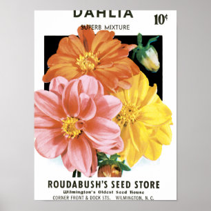 Poster Arte do pacote da semente do vintage, flores do