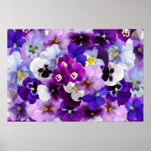 Poster Arte do papel de parede da flor do amor perfeito