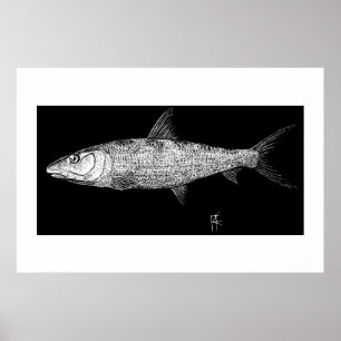 Póster Arte do risco do Bonefish