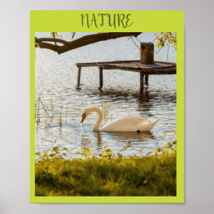 Poster Arte em Tela de Pato em Aquarela Vintage na Nature