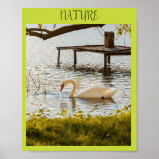 Poster Arte em Tela de Pato em Aquarela Vintage na Nature