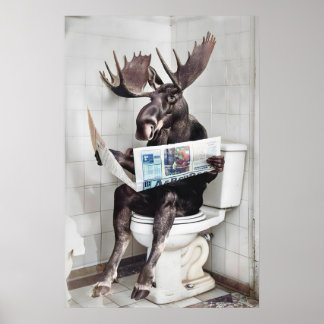 Poster Arte engraçada para parede de banheiro com alce, A