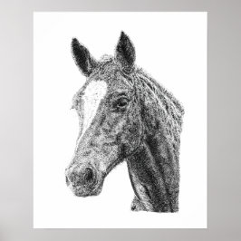 Poster Arte Équine Cabeça de Cavalo Macho Garanhão Flash