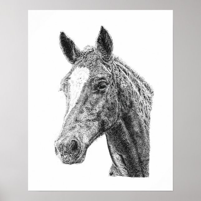 Poster Arte Équine Cabeça de Cavalo Macho Garanhão Flash  (Frente)