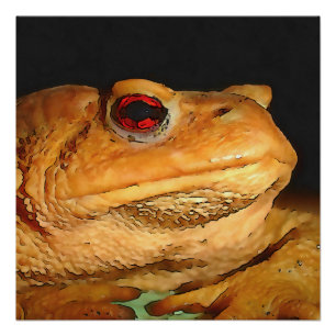 Póster Arte-Esquema Europeia Comum Bufo Bufo Bufo