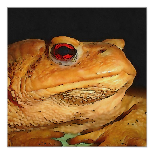 Póster Arte-Esquema Europeia Comum Bufo Bufo Bufo (Frente)
