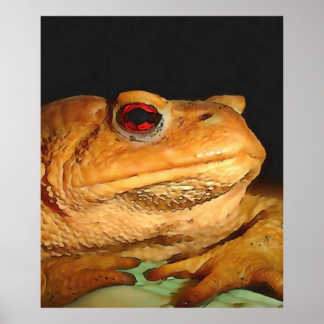 Poster Arte-Esquema Europeia Comum Bufo Bufo Bufo (Frente)