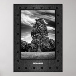 Poster Arte fina, Árvore de Leitura, aço falso rebitado