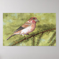Arte Finch Roxa