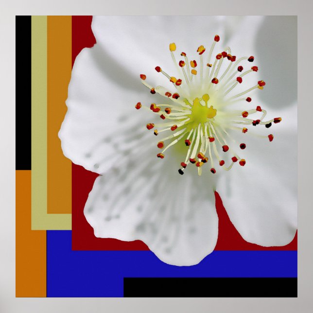 Poster Arte Floral Abstrata Moderna de Flor de Primavera (Frente)
