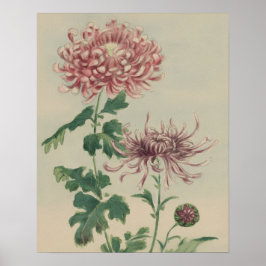 POSTER ARTE FLORAL BOTÂNICA DE CRISÂNTEMO VINTAGE