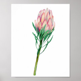 Poster Arte Floral Cor-de-Água Rosa