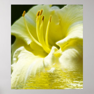 Poster Arte floral de Digitas