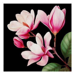 Póster Arte Floral de Flor Rosa Simples Elegante