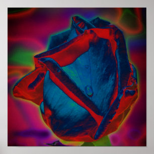 Poster Arte Floral de Gota de Chuva Rosa Azul e Vermelha