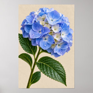 Poster Arte Floral de Parede Hortênsia Azul