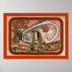 Poster Arte fresca da etiqueta da ostra