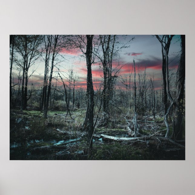 Poster Arte Gótico Floresta Sombria de Pântano (Frente)