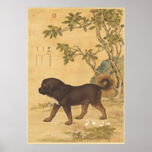 Poster Arte Imperial Chinês Vintage do Mastim Tibetano