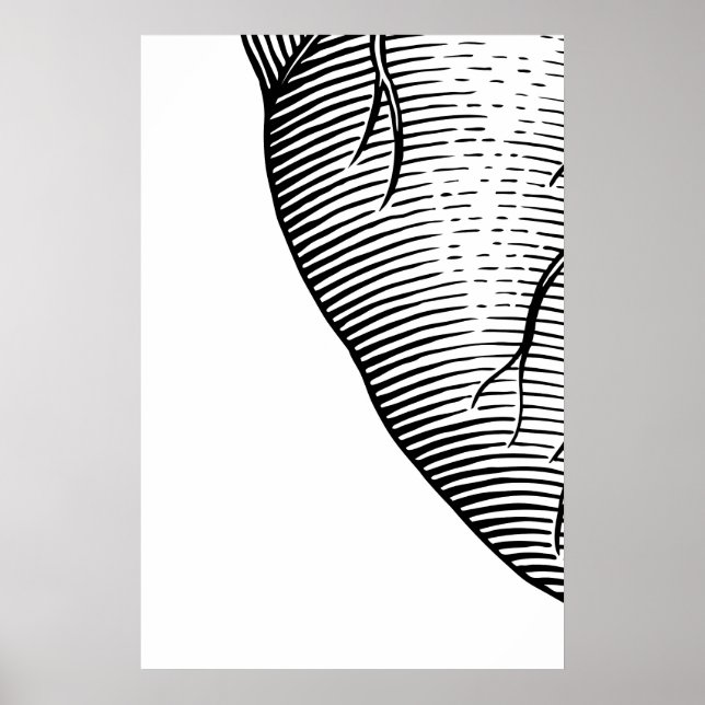 Poster Arte Impresso Quadriptych Escandinavo Esboço de Co (Frente)