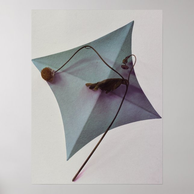 Poster Arte Japonesa (Frente)