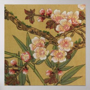 Póster Arte japonesa asiática das flores de cerejeira