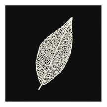 Arte linear de Folha de Esqueleto Preto e Branco
