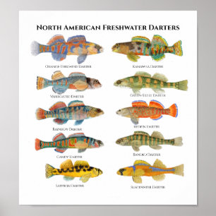 Poster Arte Mais Escura Norte-Americana