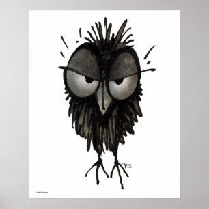 Póster Arte mal-humorada engraçada da coruja