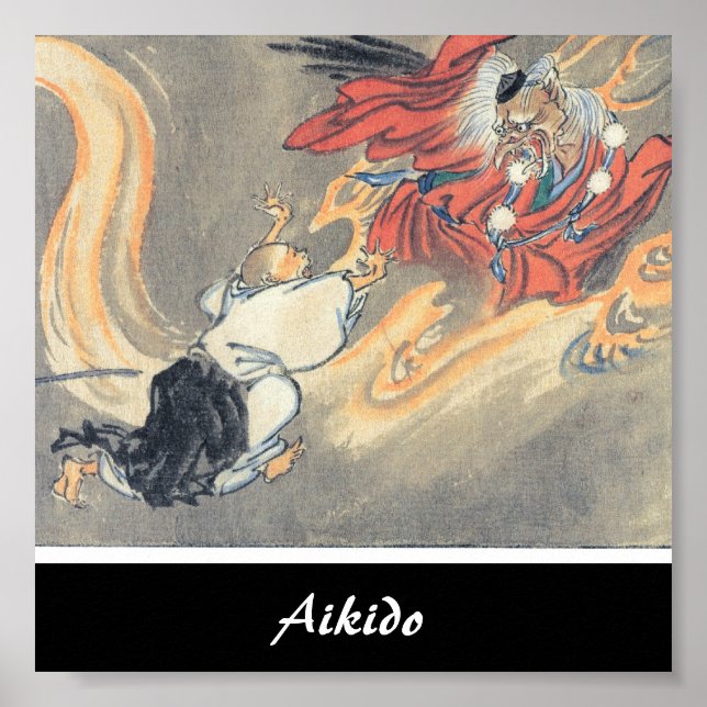 Poster Arte Marcial Japonesa Aikido (Frente)