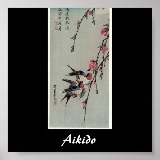 Poster Arte Marcial Japonesa Aikido