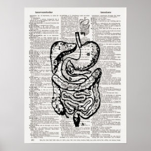 Póster Arte médica do dicionário da ilustração