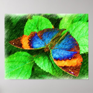 Póster Arte natural Colorida do Lápis de Borboleta