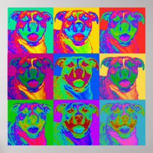 Póster Arte Op Pitbull