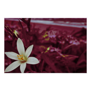 Póster Arte paisagística das flores do oceano